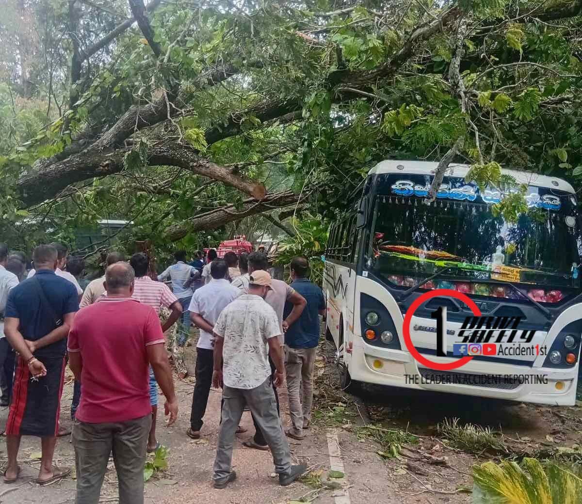 කුරුණෑගල රජපිහිල්ල උද්‍යානයේ නවතා තිබූ පාසල් බස් සහ වෑන් රථ මතට විශාල ගසක් කඩාවැටෙයි: මහා විපතක් වැළකෙයි