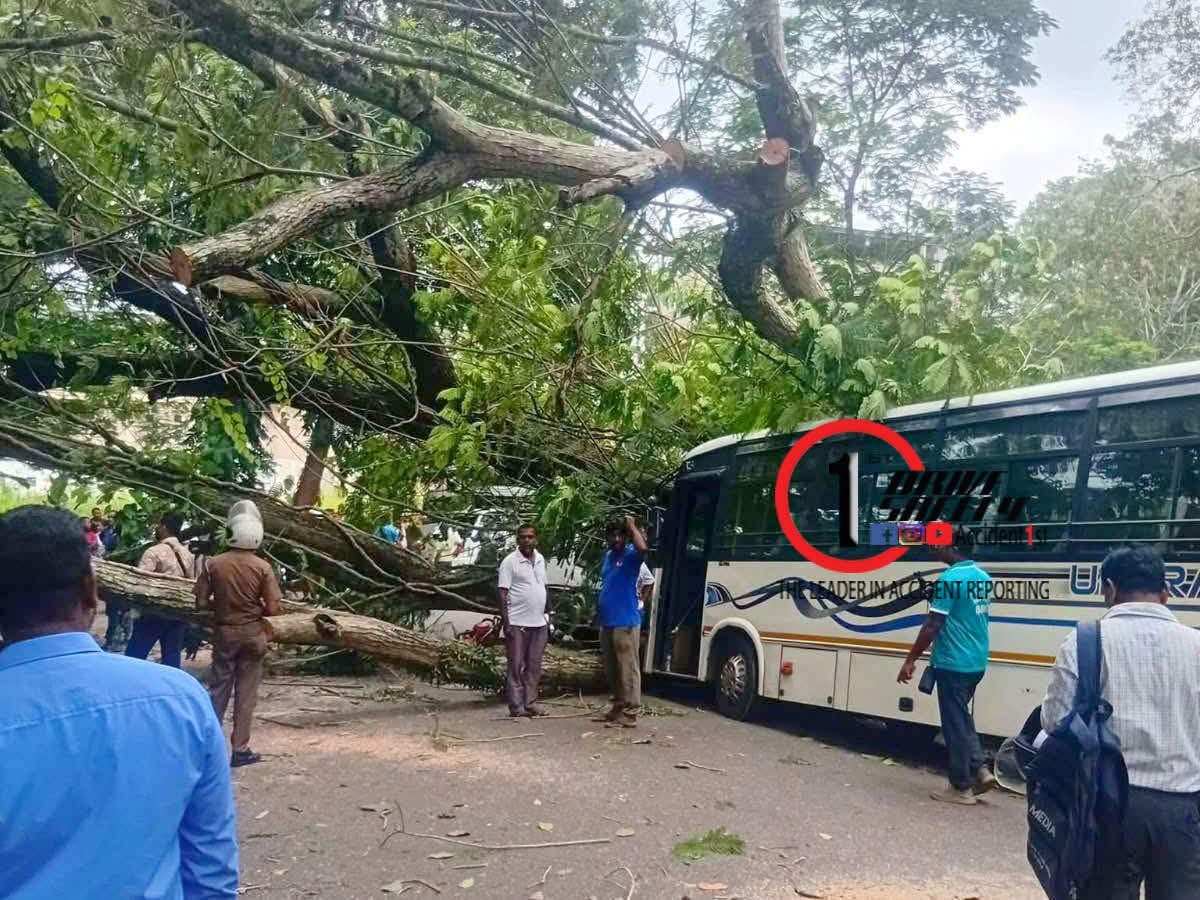 Incident Photo